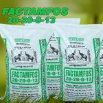 FACTAMFOS chemical Fertilizer