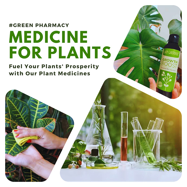 Medicines For Plants Sale