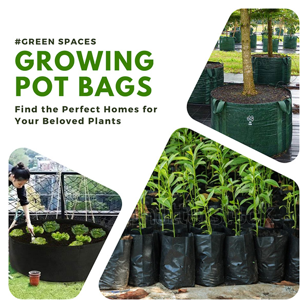 Nursery Cover for Plants Sale