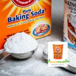baking-soda-powder-plants-sale