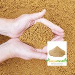 bharathapuzha river sand plants