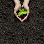 buy-best-potting-mix