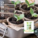 buy pseudomonas-organic-bacteria