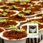 cocopeat-loose-mix-soil