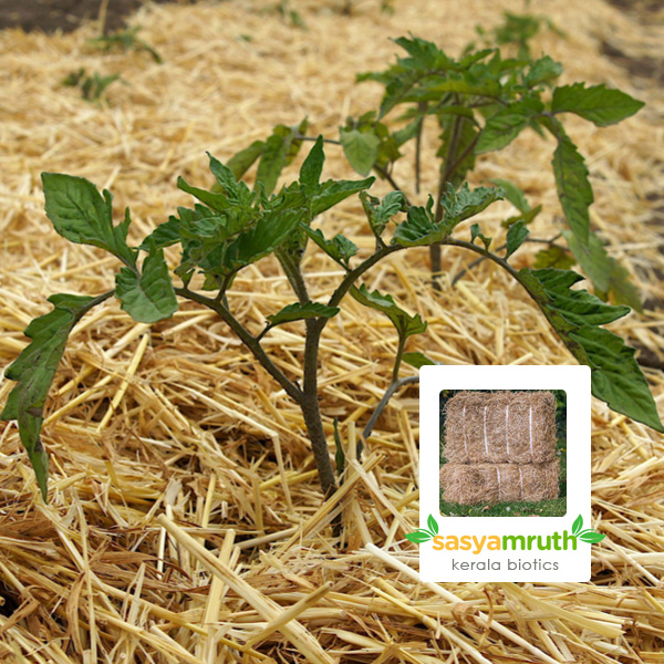 hay vaykol sale weed control