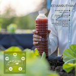 subhash palekar natural farming