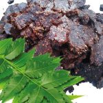 neem-cake-anti-fungal