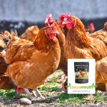 Paultry waste fertilizer sale