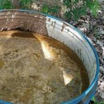 subhash palekar natural farming