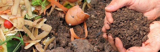 vermi compost sale online