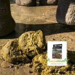elephant-dung-manure-sale