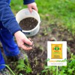 Diammonium phosphate dap fertilizer