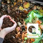 Inoculum For Kitchen Waste Compost Making