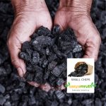 small chips wood charcoal for plants