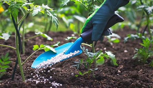 synthetic fertilizers