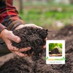 cocopeat-compost-sale