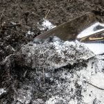 buy dolomite-m300-plants