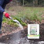 sale-dolomite-m300-plants