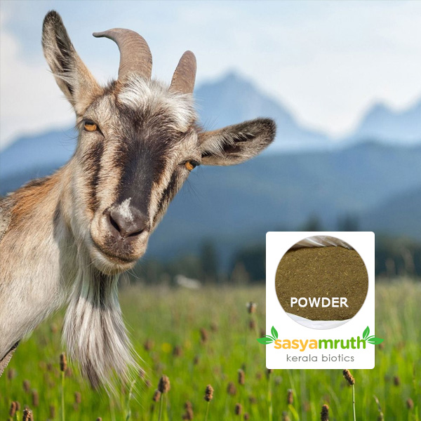 goat dung fertilizer sale