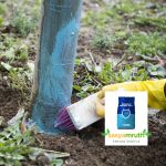 Bordeaux Mixture Pesticide For Plants