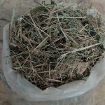 Dry Grass And Weed Mix Compost For Gardening