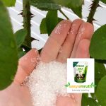 Epsom Salt Fertilizer for Sale