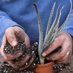 Supersoil Horticultural Perlite For Agriculture