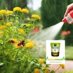 Trichoderma Organic Fungicide For Plants