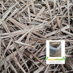 dried-coconut-leaves-soil-mix-planting
