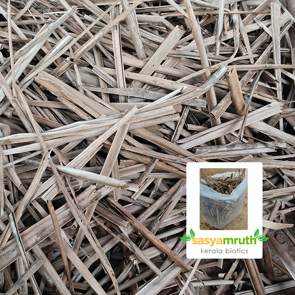 dried-coconut-leaves-soil-mix-planting