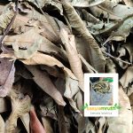 dry-mango-leaves-plant-potting-mix