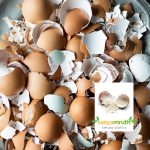 egg-shell-powder-organic-fetilizer
