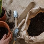 indoor-plants-potting-mix-sale