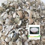 lime shells for soil neutralizing