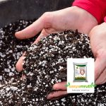 sale perlite for soil water drainage