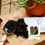 potting mix soil garden plants