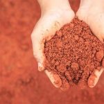 Chuvanna Mannu For Garden Plants