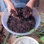 sale potting soil mix indoor plants