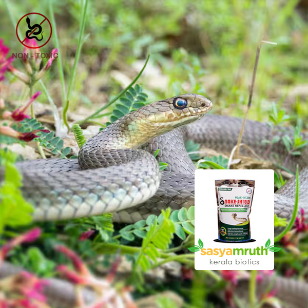 snake-repellent-powder-garden