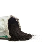 vermicompost organic fertilizers plants