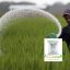 urea fertilizer sale